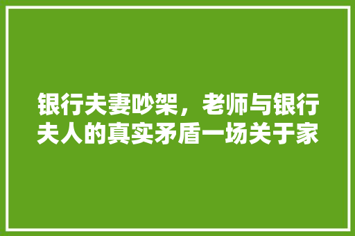 银行夫妻吵架，老师与银行夫人的真实矛盾一场关于家庭与职业的冲突  第1张
