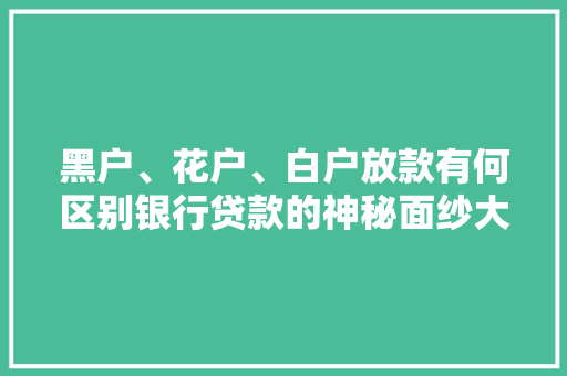 黑户、花户、白户放款有何区别银行贷款的神秘面纱大