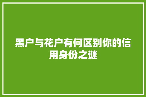 黑户与花户有何区别你的信用身份之谜