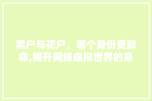 黑户与花户，哪个身份更致命,揭开网络虚拟世界的身份之谜