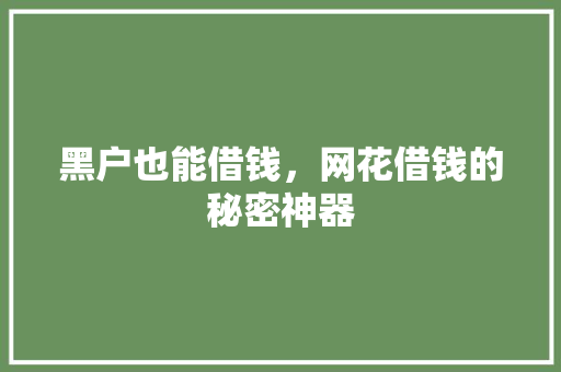 黑户也能借钱，网花借钱的秘密神器  第1张
