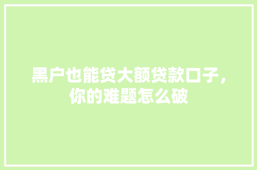 黑户也能贷大额贷款口子，你的难题怎么破