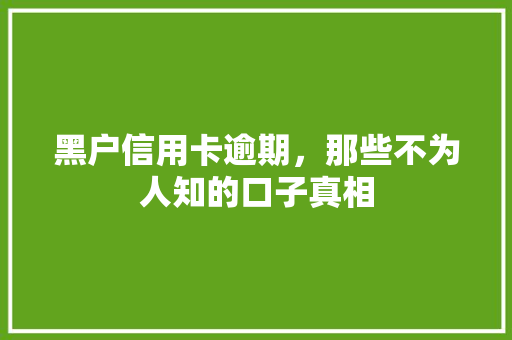 黑户信用卡逾期，那些不为人知的口子真相