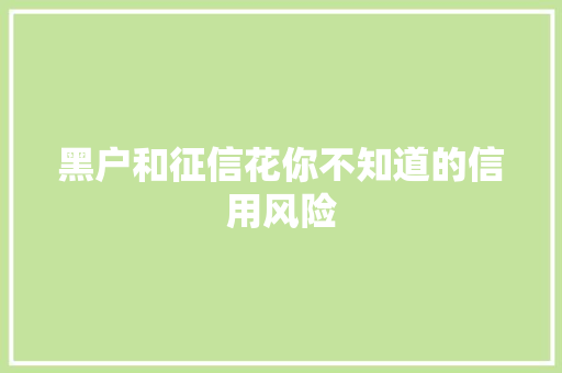 黑户和征信花你不知道的信用风险