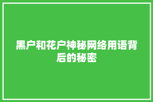 黑户和花户神秘网络用语背后的秘密