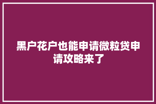 黑户花户也能申请微粒贷申请攻略来了