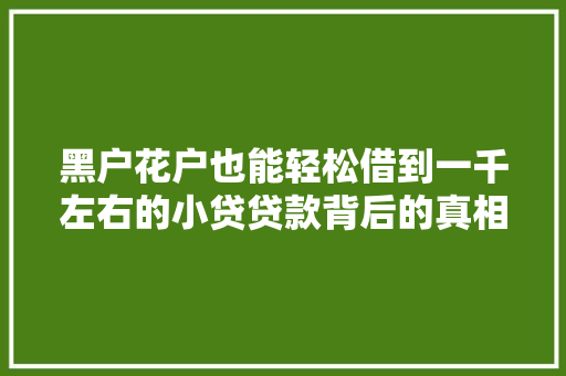 黑户花户也能轻松借到一千左右的小贷贷款背后的真相