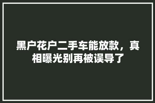 黑户花户二手车能放款，真相曝光别再被误导了  第1张