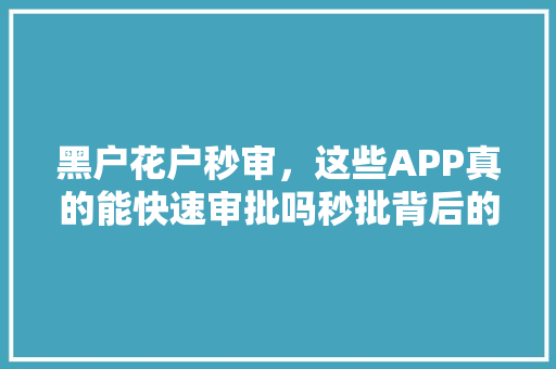 黑户花户秒审，这些APP真的能快速审批吗秒批背后的真相  第1张