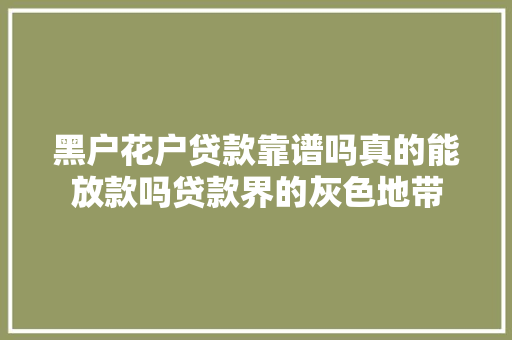 黑户花户贷款靠谱吗真的能放款吗贷款界的灰色地带  第1张