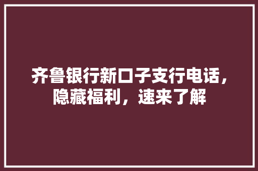 齐鲁银行新口子支行电话，隐藏福利，速来了解
