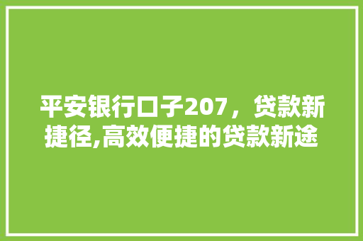 平安银行口子207，贷款新捷径,高效便捷的贷款新途径