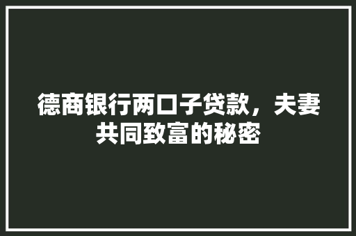 德商银行两口子贷款，夫妻共同致富的秘密