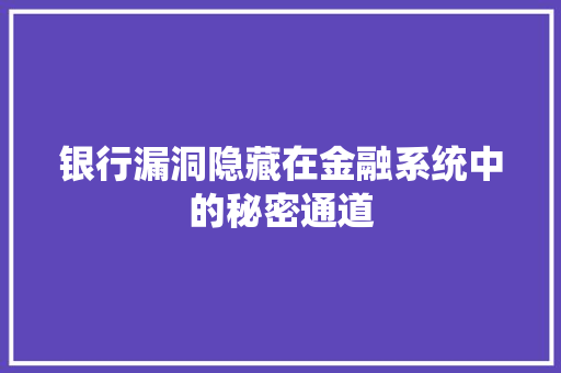 银行漏洞隐藏在金融系统中的秘密通道