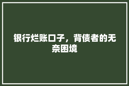 银行烂账口子，背债者的无奈困境