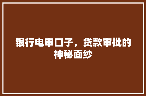 银行电审口子，贷款审批的神秘面纱