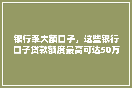 银行系大额口子，这些银行口子贷款额度最高可达50万  第1张