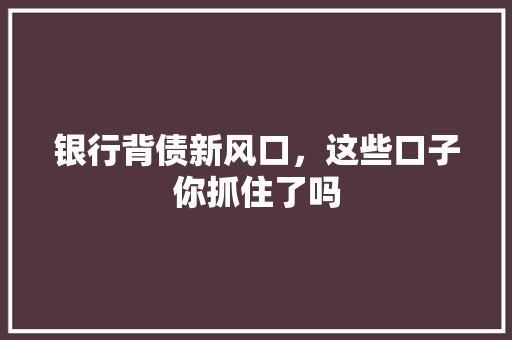 银行背债新风口，这些口子你抓住了吗