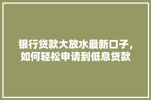 银行贷款大放水最新口子，如何轻松申请到低息贷款