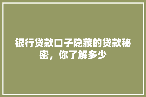银行贷款口子隐藏的贷款秘密，你了解多少