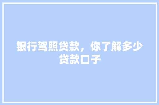 银行驾照贷款，你了解多少贷款口子