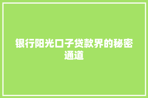 银行阳光口子贷款界的秘密通道