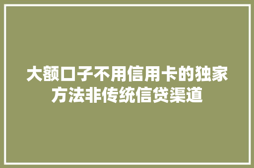 大额口子不用信用卡的独家方法非传统信贷渠道