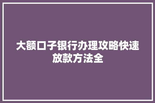 大额口子银行办理攻略快速放款方法全