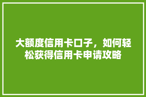 大额度信用卡口子，如何轻松获得信用卡申请攻略