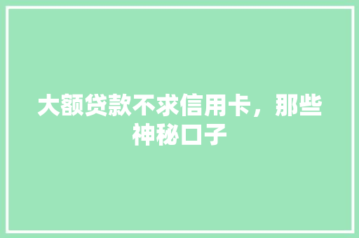 大额贷款不求信用卡，那些神秘口子