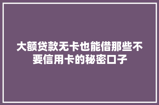 大额贷款无卡也能借那些不要信用卡的秘密口子