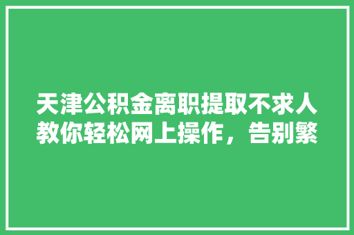 天津公积金离职提取不求人教你轻松网上操作，告别繁琐步骤