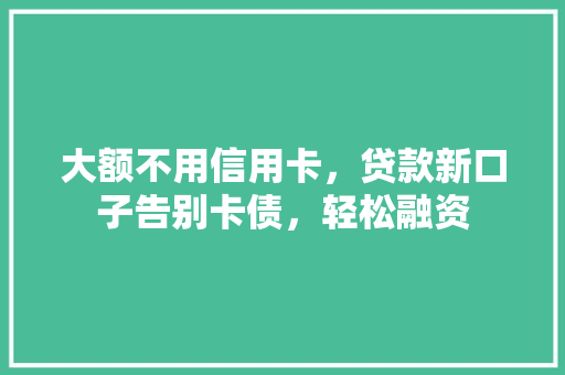大额不用信用卡，贷款新口子告别卡债，轻松融资