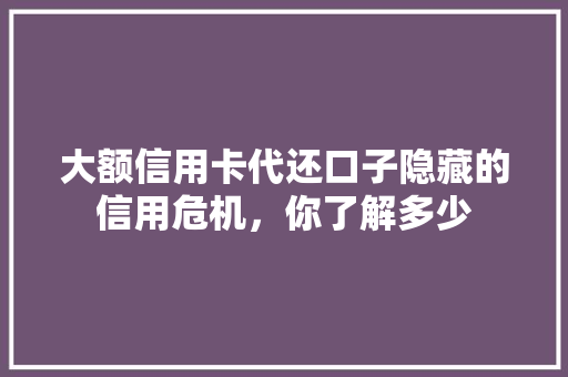 大额信用卡代还口子隐藏的信用危机，你了解多少
