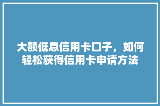 大额低息信用卡口子，如何轻松获得信用卡申请方法
