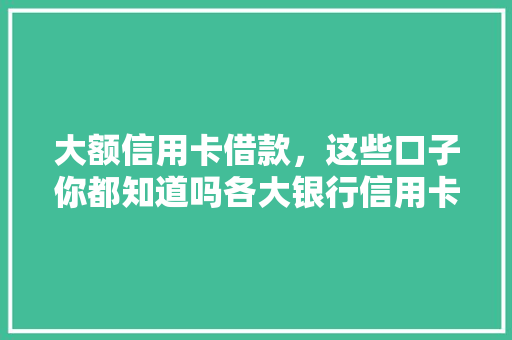 大额信用卡借款，这些口子你都知道吗各大银行信用卡贷款优势及申请方法