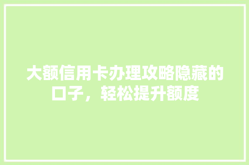 大额信用卡办理攻略隐藏的口子，轻松提升额度