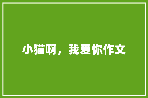 夫妻共用银行账号，你们觉得合适吗