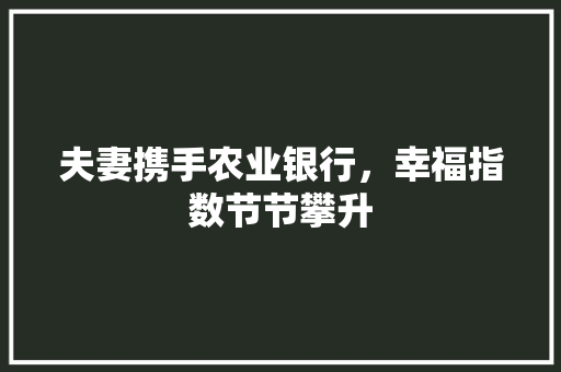 夫妻携手农业银行，幸福指数节节攀升