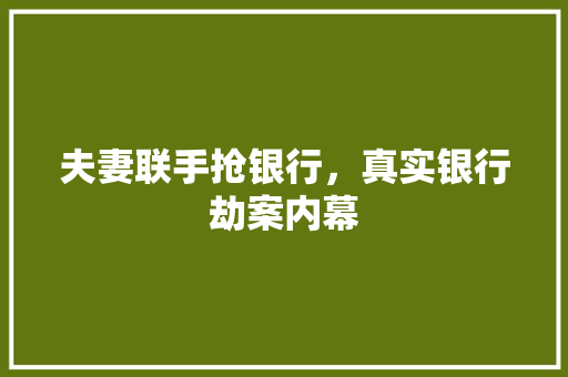 夫妻联手抢银行，真实银行劫案内幕