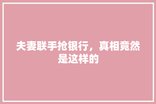 夫妻联手抢银行，真相竟然是这样的