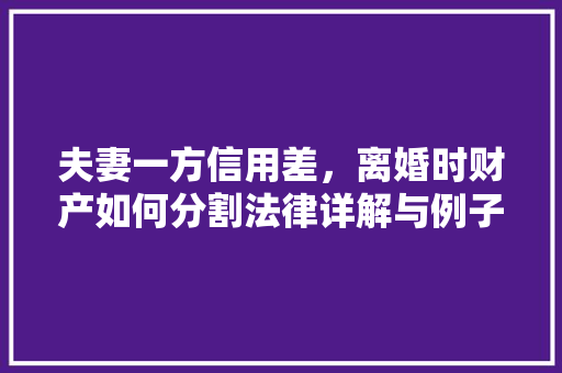 夫妻一方信用差，离婚时财产如何分割法律详解与例子分析  第1张