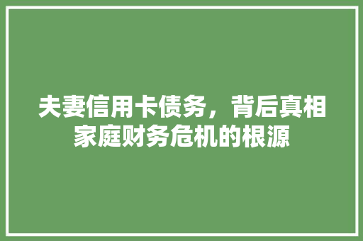 夫妻信用卡债务，背后真相家庭财务危机的根源