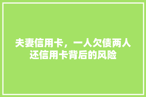夫妻信用卡，一人欠债两人还信用卡背后的风险