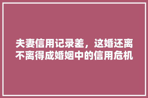 夫妻信用记录差，这婚还离不离得成婚姻中的信用危机