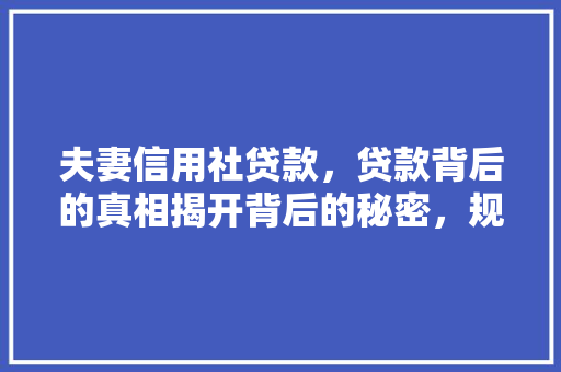 夫妻信用社贷款，贷款背后的真相揭开背后的秘密，规避风险指南