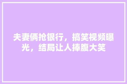 夫妻俩抢银行，搞笑视频曝光，结局让人捧腹大笑