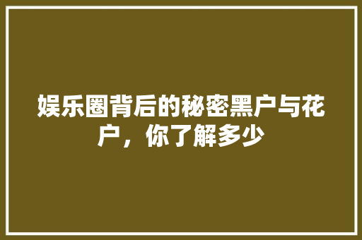 娱乐圈背后的秘密黑户与花户，你了解多少