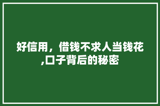 好信用，借钱不求人当钱花,口子背后的秘密