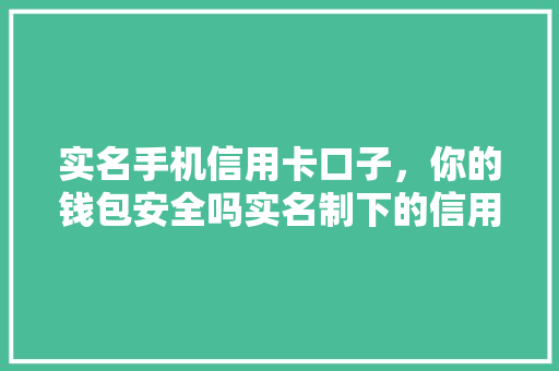 实名手机信用卡口子，你的钱包安全吗实名制下的信用卡风险